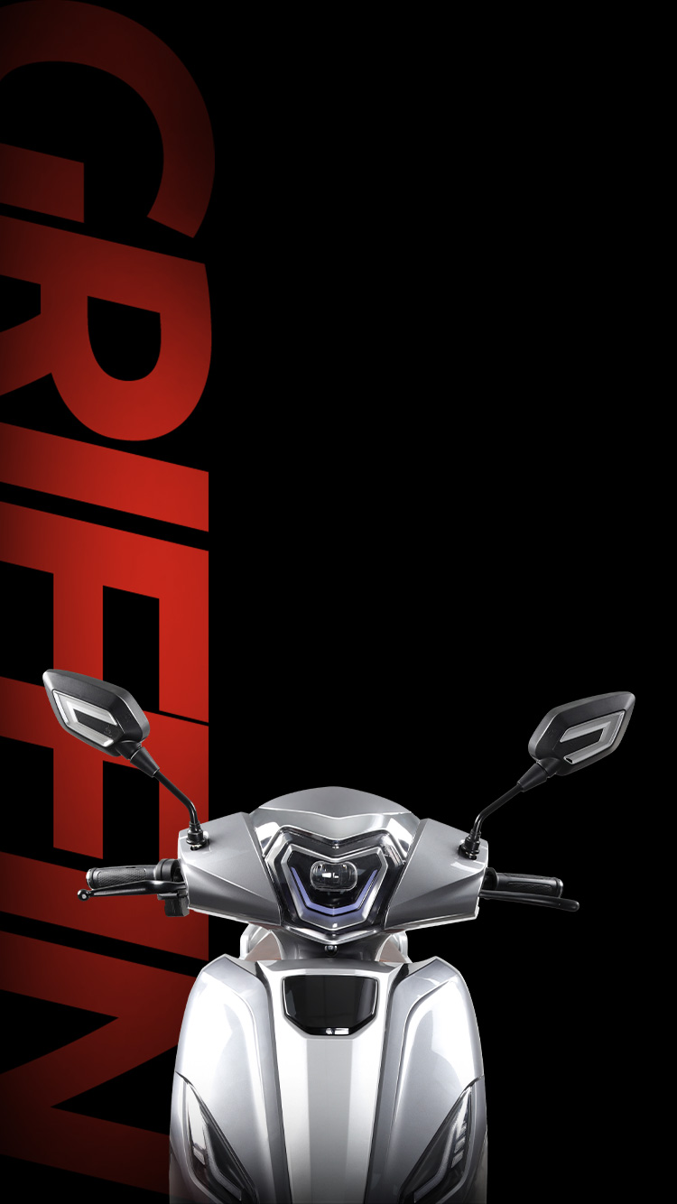 GRIFFIN -Jiangsu Zhongxing Motorcycle Co., Ltd